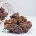 Buy Cannabis Huckleberry AAA at MMJ Express Online Shop