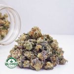 Buy Cannabis Zookies AAAA (Popcorn Nugs) MMJ Express Online Shop