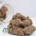 Buy Cannabis Astroboy AAA at MMJ Express Online Shop