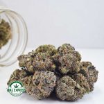 Buy Cannabis Purple Rockstar AAAA at MMJ Express Online Shop
