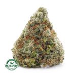 Buy Cannabis Strawberry Haze AAA at MMJ Express Online Shop