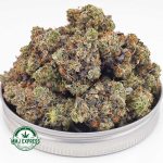 Buy Cannabis Purple Runtz AAA at MMJ Express Online Shop