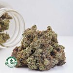 Buy Cannabis Purple Runtz AAA at MMJ Express Online Shop