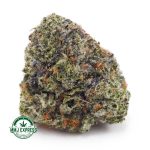 Buy Cannabis Supernova AAA at MMJ Express Online Shop