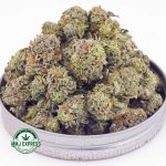 Buy Cannabis Supernova AAA at MMJ Express Online Shop