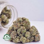 Buy Cannabis Supernova AAA at MMJ Express Online Shop
