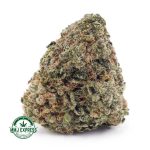 Buy Cannabis Island Sweet Skunk AAA at MMJ Express Online Shop