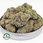 Buy Cannabis Island Sweet Skunk AAA at MMJ Express Online Shop