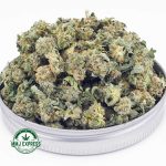Buy Cannabis Super Glue AAA (Popcorn Nugs) at MMJ Express Online Shop