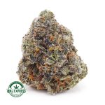 Buy Cannabis NYC Diesel AAAA at MMJ Express Online Shop