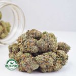 Buy Cannabis NYC Diesel AAAA at MMJ Express Online Shop