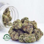 Buy Cannabis Galactic Gas AAAA at MMJ Express Online Shop