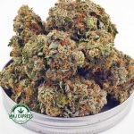 Buy Cannabis White Runtz AAAA at MMJ Express Online Shop