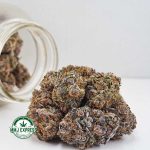 Buy Cannabis Purple Godbud AA at MMJ Express Online Shop