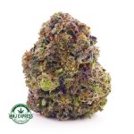 Buy Cannabis Blueberry Rockstar AAA at MMJ Express Online Shop