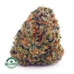 Buy Cannabis White Tahoe Cookies AAA at MMJ Express Online Shop