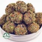 Buy Cannabis White Tahoe Cookies AAA at MMJ Express Online Shop