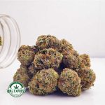 Buy Cannabis White Tahoe Cookies AAA at MMJ Express Online Shop