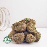 Buy Concentrates Cannabis Cookie Monster AAA at MMJ Express Online Shop