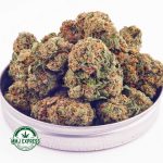 Buy Cannabis Fruit Loops AAA MMJ Express Online Shop
