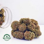 Buy Cannabis Cali Bubba AAA at MMJ Express Online Shop