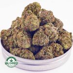 Buy Cannabis Dosi Cake AAAA at MMJ Express Online Shop
