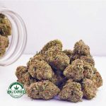 Buy Cannabis Dosi Cake AAAA at MMJ Express Online Shop