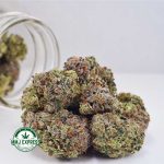 Buy Cannabis Vintage Gas AAAA+, Craft at MMJ Express Online Shop