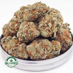 Buy Cannabis White Tahoe Cookies AA at MMJ Express Online Shop