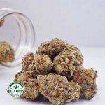 Buy Cannabis White Tahoe Cookies AA at MMJ Express Online Shop