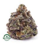 Buy Cannabis Apple Pie AA at MMJ Express Online Shop