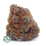 Buy Cannabis Black Cherry Pie AAAA at MMJ Express Online Shop