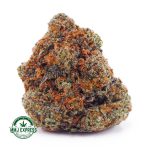 Buy Cannabis Mango Punch AA at MMJ Express Online Shop