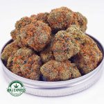 Buy Cannabis Mango Punch AA at MMJ Express Online Shop