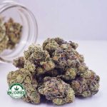 Buy Cannabis Island Sweet Skunk AAA at MMJ Express Online Shop