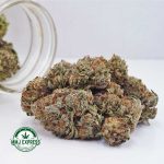 Buy Cannabis Strawberry Cough AAAA MMJ Express Online Shop