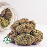 Buy Cannabis Frost Fruit Cake AAAA at MMJ Express Online Shop