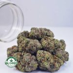 Buy Cannabis Galactic Gas AAAA at MMJ Express Online Shop