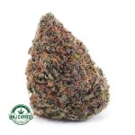 Buy Cannabis Hawaiian Haze AAA at MMJ Express Online Shop