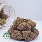 Buy Cannabis Hawaiian Haze AAA at MMJ Express Online Shop