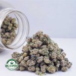 Buy Cannabis Gary Payton AAAA (Popcorn) at MMJ Express Online Shop