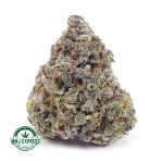 Buy Cannabis Blue Dream AAA at MMJ Express Online Shop