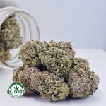 Buy Cannabis Blue Dream AAA at MMJ Express Online Shop