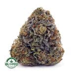 Buy Cannabis Platinum Kush AAA at MMJ Express Online Shop