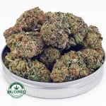 Buy Cannabis Platinum Kush AAA at MMJ Express Online Shop