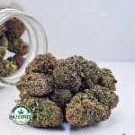 Buy Cannabis Platinum Kush AAA at MMJ Express Online Shop