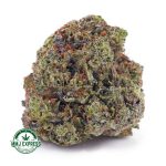 Buy Cannabis Blueberry Bomb AAAA at MMJ Express Online Shop