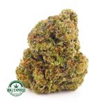 Buy Cannabis Platinum Cookies AAAA at MMJ Express Online Shop