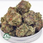 Buy Cannabis Blueberry Bomb AAAA at MMJ Express Online Shop