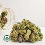 Buy Cannabis Guava Punch AAAA (Popcorn Nugs) MMJ Express Online Shop